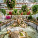 Begonia Bird Garden+Mysterious Zoo+Aqua Cafe Round-trip shuttle - The morning at Begonia Bird Park