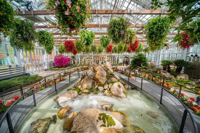 Begonia Bird Garden+Mysterious Zoo+Aqua Cafe Round-trip shuttle - The morning at Begonia Bird Park