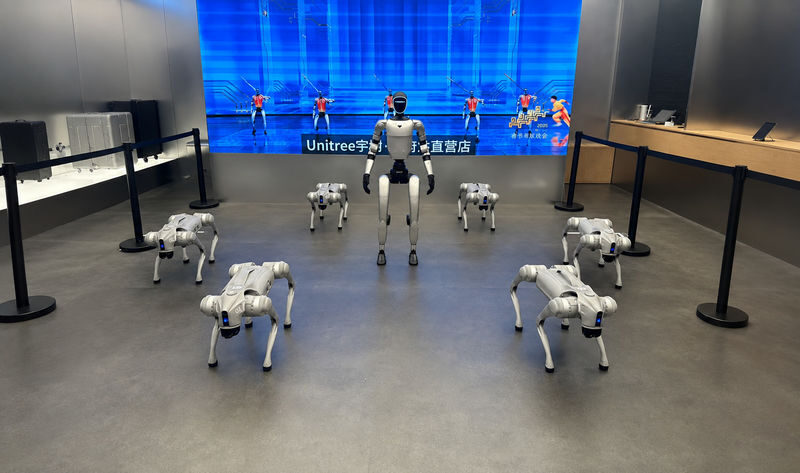Beijing Chinese EV & Robotics Private Tour: Xiaomi, AITO, NIO Unitree & ZEEKR - The Robot Show Is Not a Sure Thing