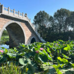 Beijing Summer Palace Half-Day Tour with Guide - What the 2.5-hour visit is like