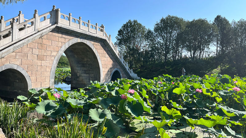 Beijing Summer Palace Half-Day Tour with Guide - What the 2.5-hour visit is like