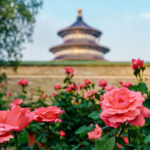 Beijing Temple of Heaven Half-Day Guided Tour - The guide makes the difference