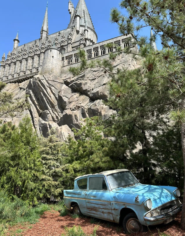 Beijing Universal Studios & Mutianyu Great Wall 4-Day Private Tour - Universal Studios brings a different kind of Beijing day