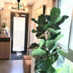 Bello bosco Hair Salon in Jiyugaoka, Tokyo - Consultation first, then a tailored service
