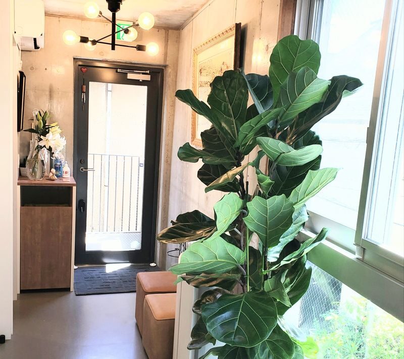 Bello bosco Hair Salon in Jiyugaoka, Tokyo - Consultation first, then a tailored service