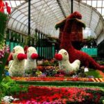 Bengaluru Full-Day Private Palace & Temple Tour - What a private guide changes