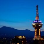 Beppu Tower Admission Ticket - What the visit is actually like