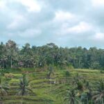 Best of Bali Day Tour for Korean Couple - Uluwatu Temple: a cliffside stop