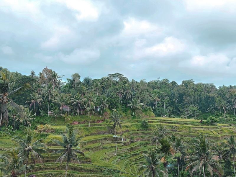 Best of Bali Day Tour for Korean Couple - Uluwatu Temple: a cliffside stop