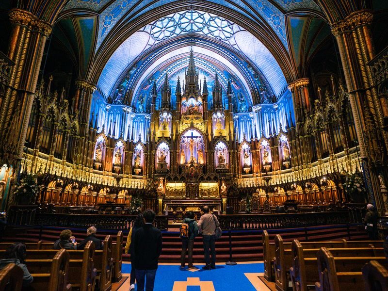 Best of Montreal Tour - Mont-Royal: the city from above