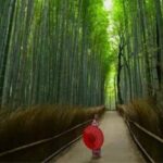 Best of Osaka, Kyoto and Hiroshima 6 Days by Vio Travel - Day 1: Find your feet in Osaka