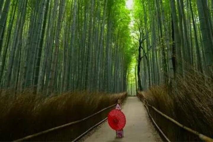 Best of Osaka, Kyoto and Hiroshima 6 Days by Vio Travel - Day 1: Find your feet in Osaka