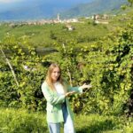 Best Tour to the Prosecco Hills and Wine Tasting - Following the Prosecco road
