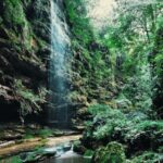 Bifengxia Private Full-Day Tour with Pandas - The mountain drive is part of the day