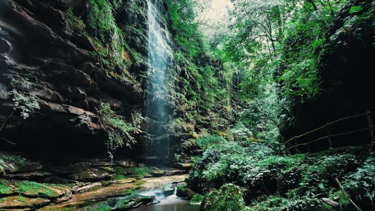 Bifengxia Private Full-Day Tour with Pandas - The mountain drive is part of the day