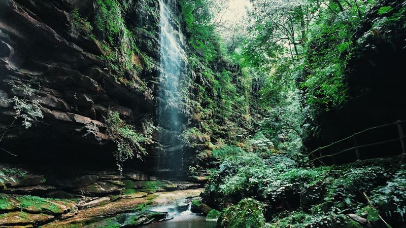 Bifengxia Private Full-Day Tour with Pandas - The mountain drive is part of the day