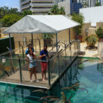 Big Croc Feeding and Guided Tour in Darwin - VIP access beyond the feeding platform