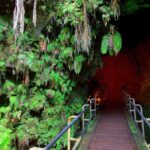 Big Island Half-Day Tour with Lunch - Two hours inside Hawaii Volcanoes National Park