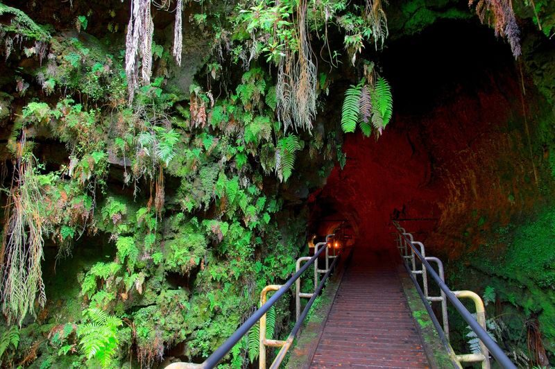 Big Island Half-Day Tour with Lunch - Two hours inside Hawaii Volcanoes National Park