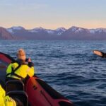 Big whales and puffins boat tour in Husavik - The two-hour route, from harbor to bay