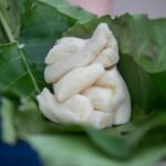 Bintan Food Hunt Tour - Temple visit and the first taste of Bintan
