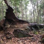 Bintan Hiking Challenge with Lunch - Guides help with both footing and confidence