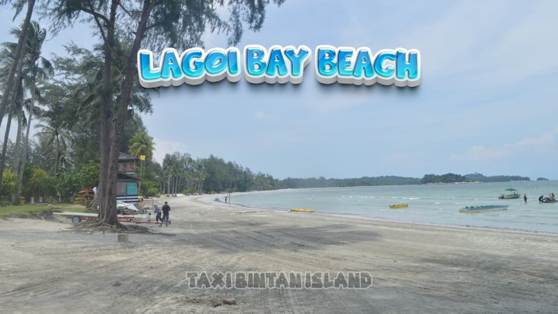 Bintan Island Full-Day Private Sightseeing Tour - Private transport makes a large island easier to cover