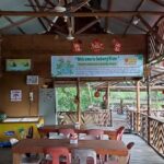 Bintan Mangrove Discovery Half-Day Small Group Tour - From resort pickup to the floating dock