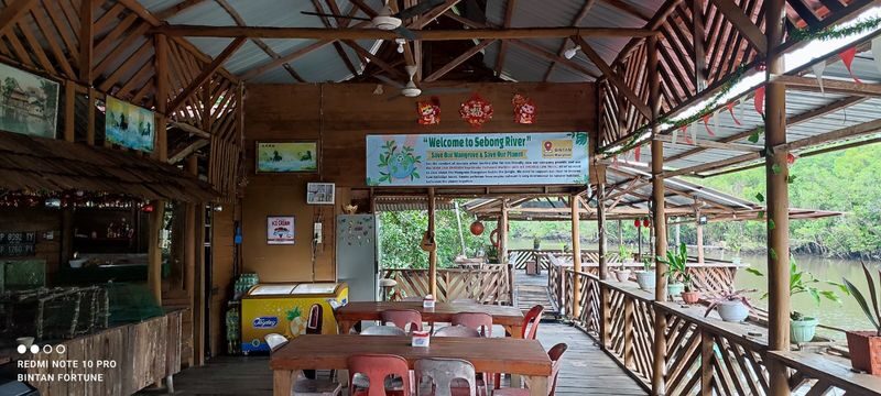 Bintan Mangrove Discovery Half-Day Small Group Tour - From resort pickup to the floating dock