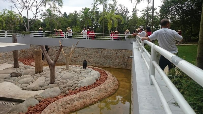 Bintan Safari Lagoi & Blue Lake Half-Day Private Tour - Sand mounds that feel far from the coast