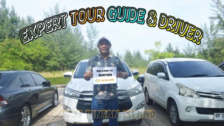 Bintan Sand Dune & Snorkeling Private Day Experience - A private car takes the stress out of getting there