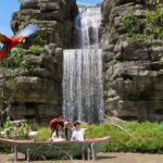 Bird Paradise Ticket | Mandai Wildlife Reserve, Singapore - Plan around the two Sky Amphitheatre shows