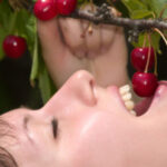 Blue Mountains and Orange full-day cherry picking tour from Sydney - Orange’s farm stop is the clearest highlight
