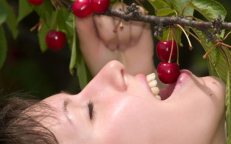 Blue Mountains and Orange full-day cherry picking tour from Sydney - Orange’s farm stop is the clearest highlight