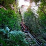 Blue Mountains Scenic World, Wildlife & Rivercruise Small Group Tour - The early drive west