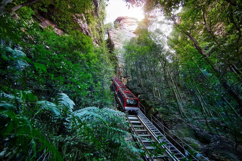 Blue Mountains Scenic World, Wildlife & Rivercruise Small Group Tour - The early drive west