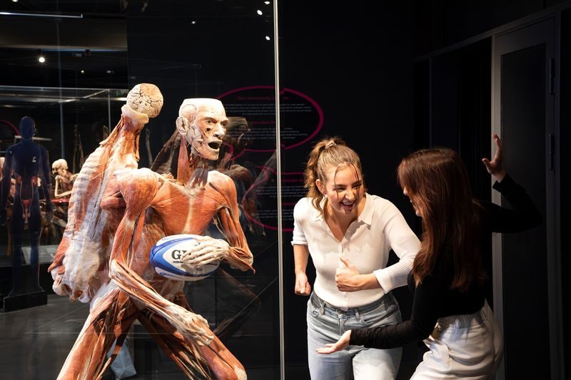 Body Worlds Amsterdam Ticket - Following the route from upper floors down