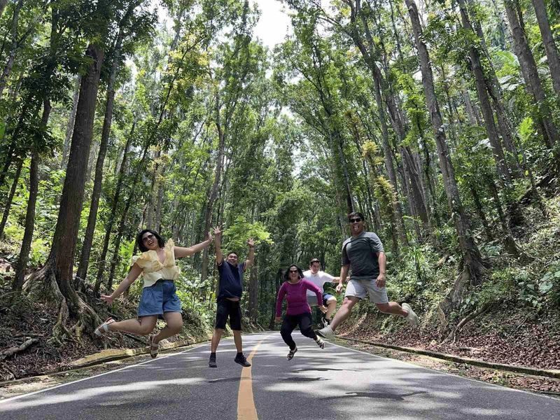 Bohol Chocolate Hills, Tarsier & River Cruise Experience - Tarsiers: small primates, quiet viewing