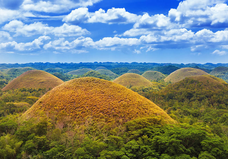 Bohol Countryside Tour with Firefly Watching - Chocolate Hills: the big inland view