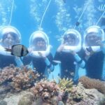 Boracay Helmet Dive Experience - What the 15-minute seabed walk feels like