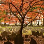 Boston: Freedom Trail History Small Group Walking Tour - What the guide adds to the brick trail