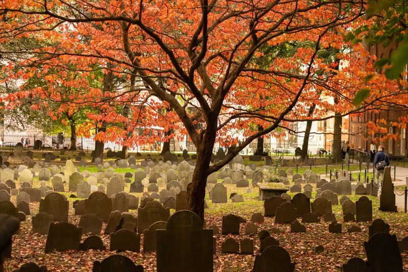 Boston: Freedom Trail History Small Group Walking Tour - What the guide adds to the brick trail