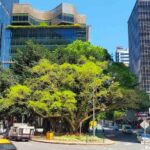 Brisbane City Highlights Half-Day Walking Tour - Old buildings, tiny doors and stories with a twist