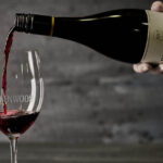Brokenwood Winery Tour with Wine Tasting in Hunter Valley - Oysters and three styles of Semillon