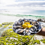 Bruny Island Food, Sightseeing and Exclusive Lighthouse Tour - Oysters and cheese before the sightseeing