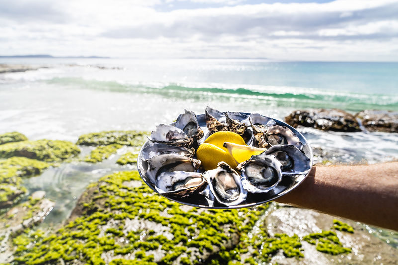 Bruny Island Food, Sightseeing and Exclusive Lighthouse Tour - Oysters and cheese before the sightseeing