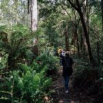 Bruny Island Guided Day Tour - The Neck lookout and its steep climb