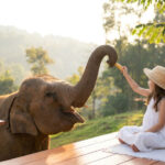 Buatong Waterfall, Wat Ban Den & Cafe Elephant Full-Day Tour - Dantewada Land of Angels: a quiet opening