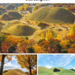 Busan & Gyeongju UNESCO Site Full-Day Tour with Sky Capsule - Starting with the Sky Capsule