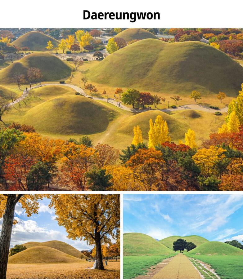 Busan & Gyeongju UNESCO Site Full-Day Tour with Sky Capsule - Starting with the Sky Capsule